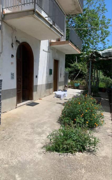 Villa Wonder House Pianillo Exterior foto